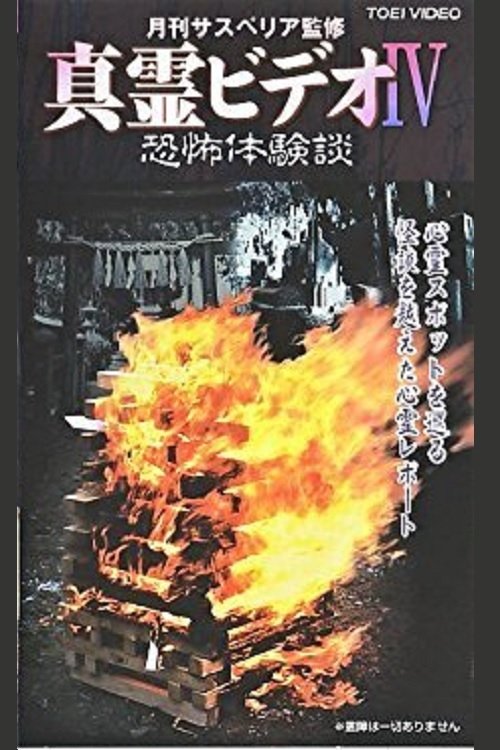 真霊ビデオ4　恐怖体験談 (1999)