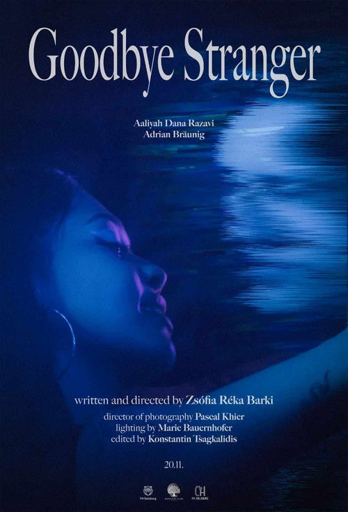 Goodbye Stranger