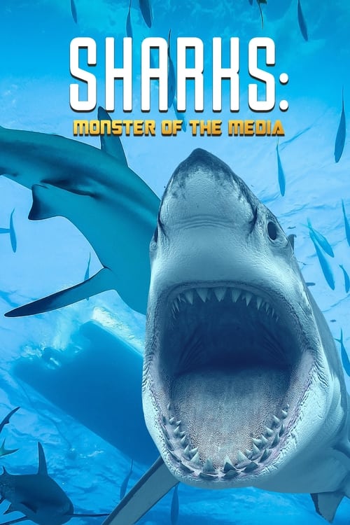 Poster Haie - Monster der Medien 2019
