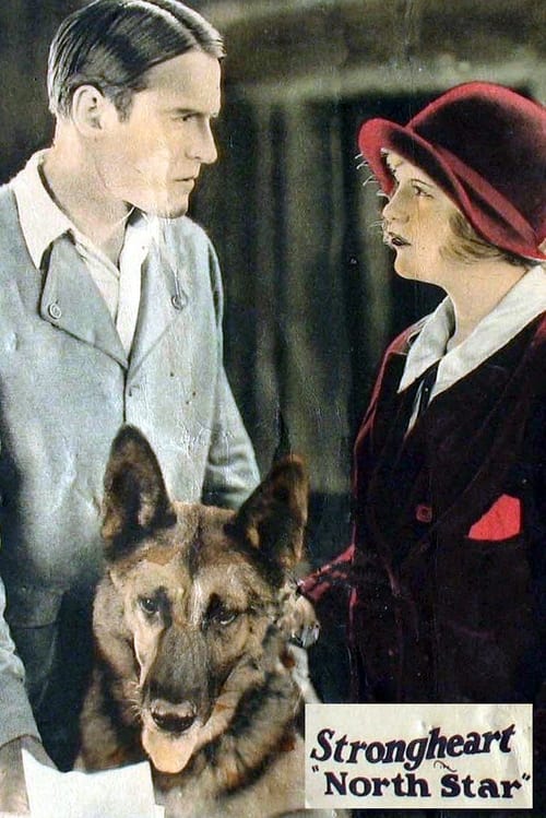 North Star (1925)