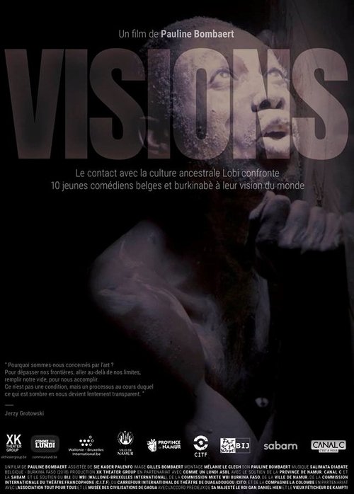 Visions movie poster player