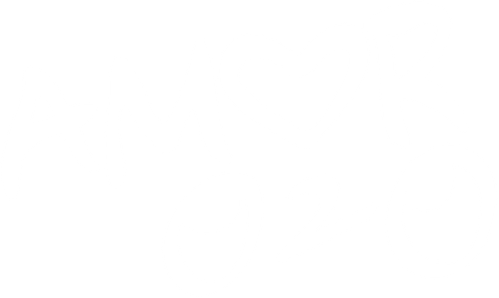 Paixão O2O
