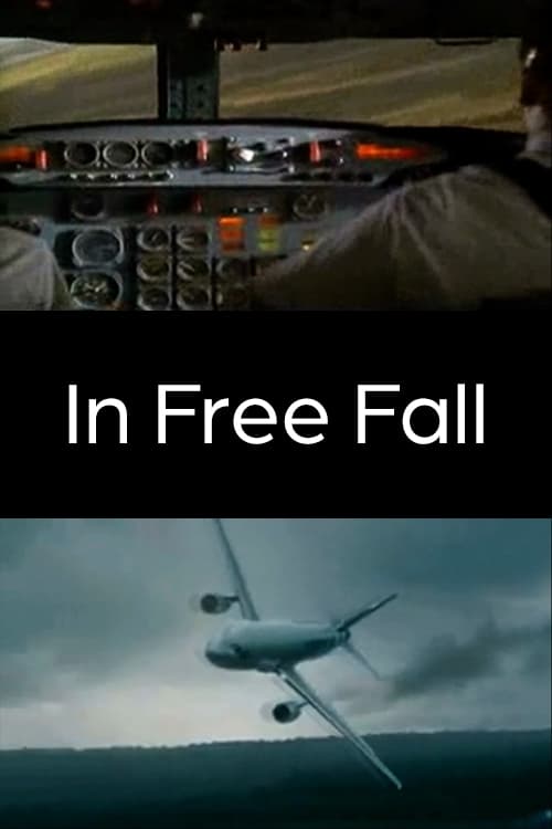 In Free Fall (2010) poster