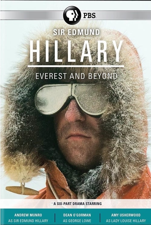 Poster Hillary