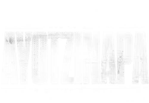 The Ayotzinapa 43: State Crime