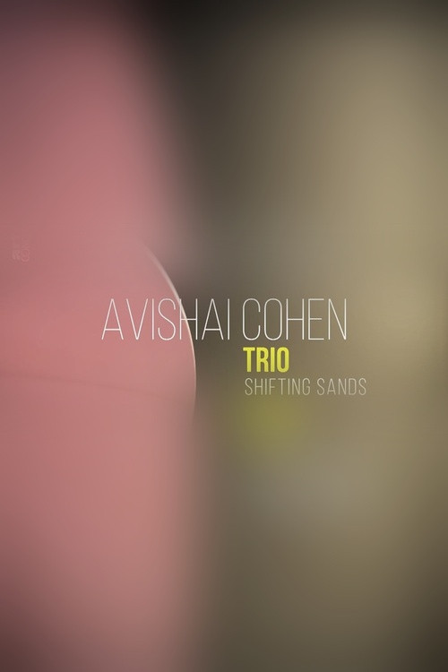 Avishai Cohen Trio - En session privée au Théâtre du Maillon, Strasbourg