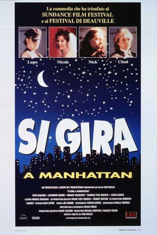 Si gira a Manhattan 1995