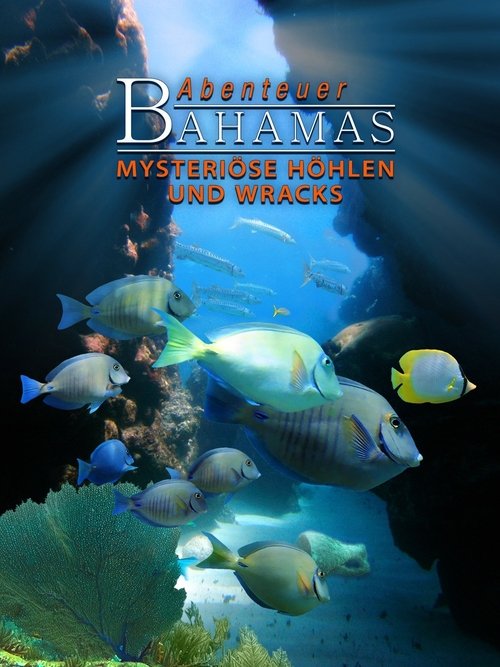 Abenteuer Bahamas 3D - Mysteriöse Höhlen und Wracks movie poster player