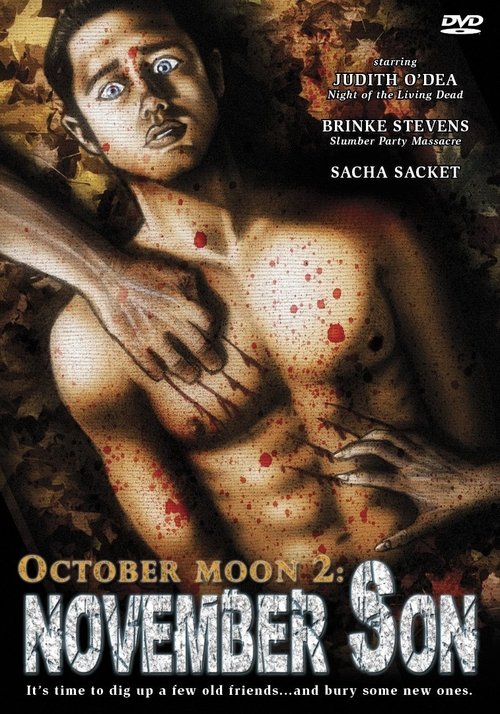 October Moon 2: November Son poster