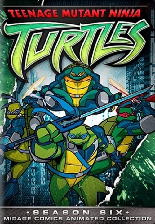 Les Tortues Ninja, S06 - (2006)