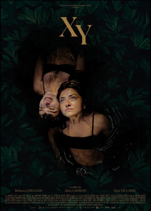 Poster zu XY