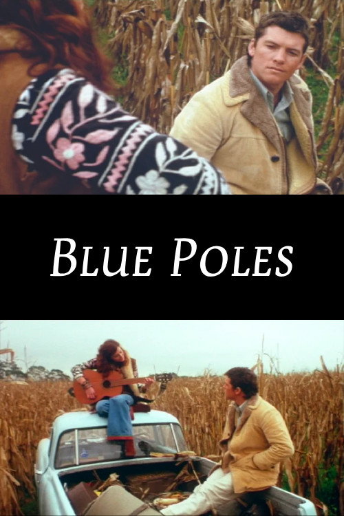 Blue Poles poster