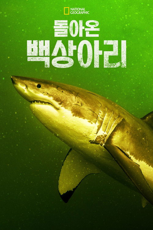 Return of the White Shark poster