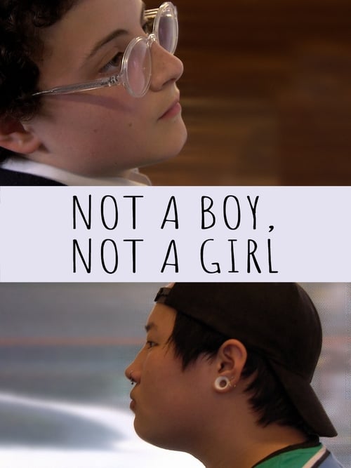 Not a Boy, Not a Girl Movie Poster Image