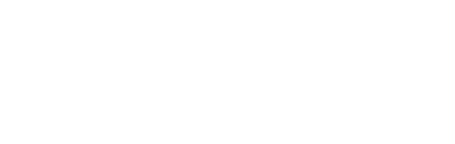 The Detective