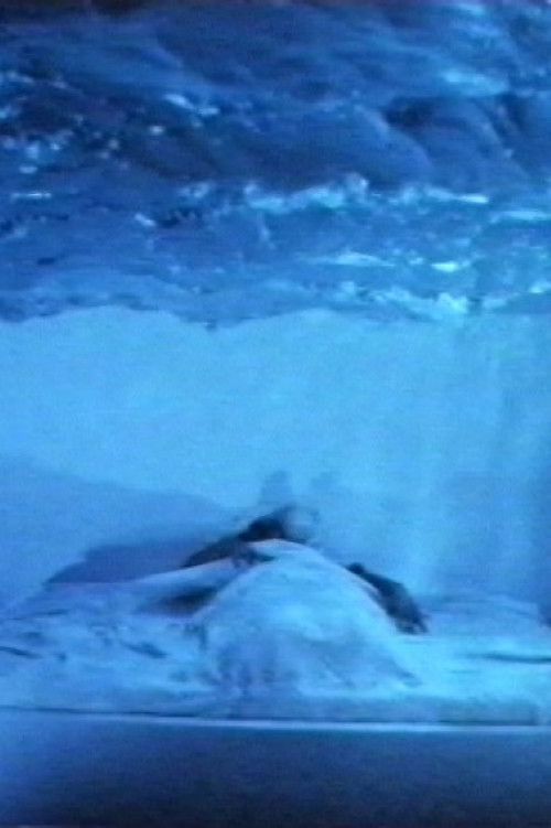 L'attacco col fuoco (Plagium 14)