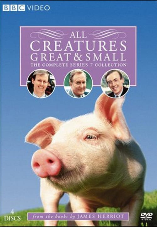 All Creatures Great and Small, S07 - (1990)