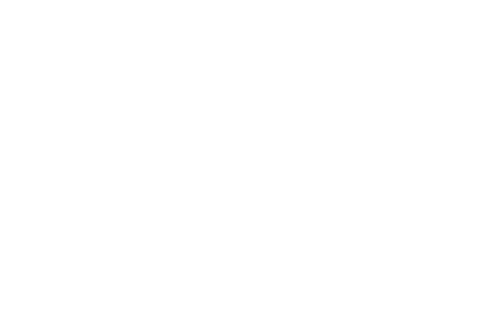 UFC 313: Pereira vs. Ankalaev