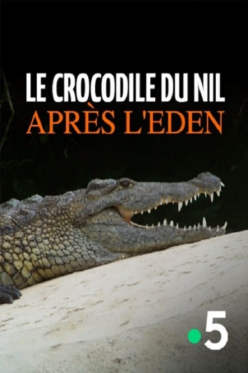 Le crocodile du Nil après l'eden 2011