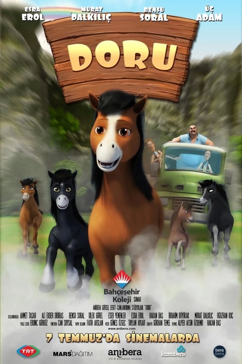 Doru (2017)