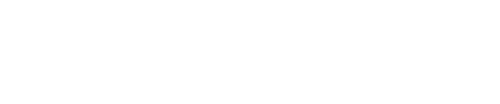 O Professor