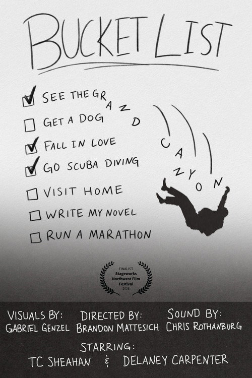 Bucket List official trailer poster
