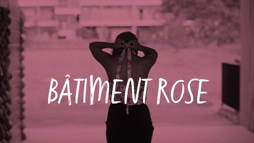 Bâtiment rose Backdrop Blur