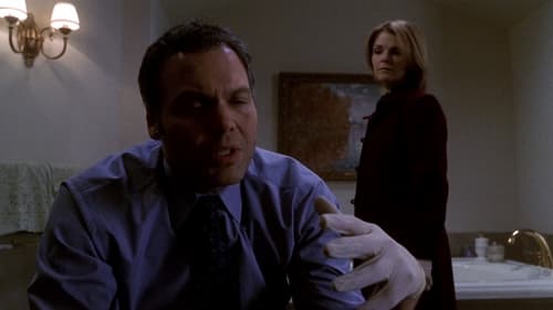 Poster della serie Law & Order: Criminal Intent