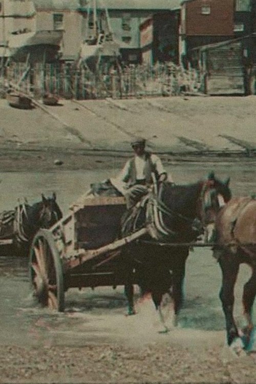 Fording the River (1910)