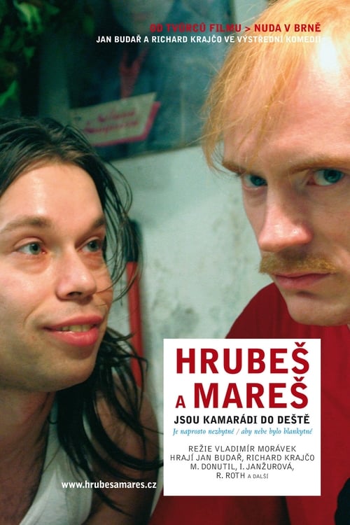 Hrubeš a Mareš jsou kamarádi do deště (2004) poster