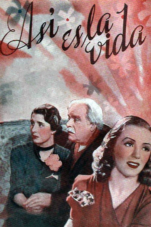Así es la vida poster
