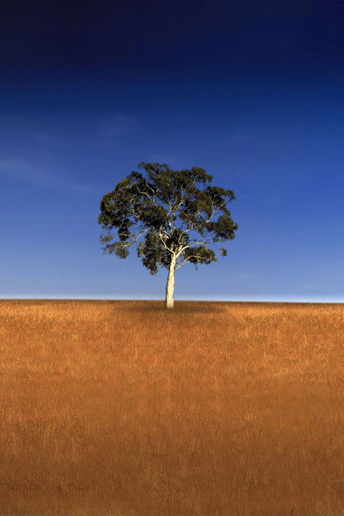 Escena 5 de Who Do You Think You Are?