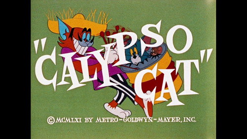 Calypso Cat