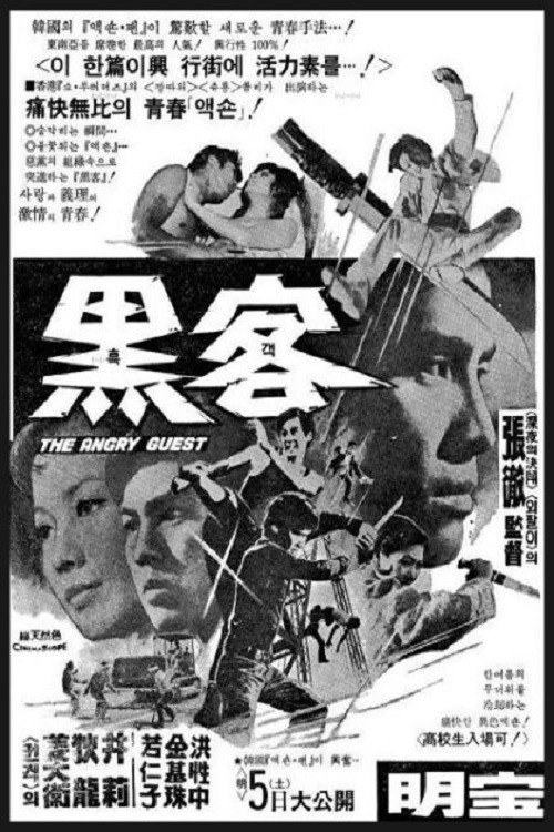 The Angry Guest poster