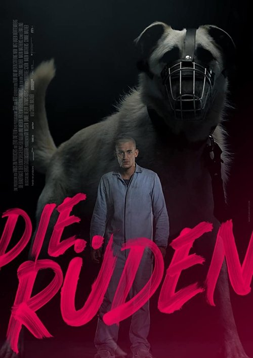 Die Rüden poster