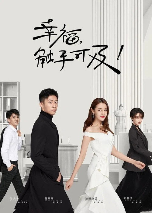 幸福，触手可及！（DVD版） poster
