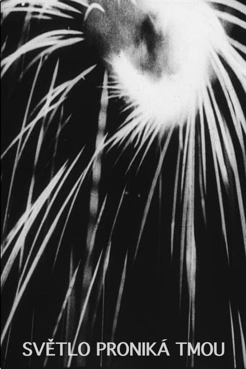 The Light Penetrates the Dark (1930)