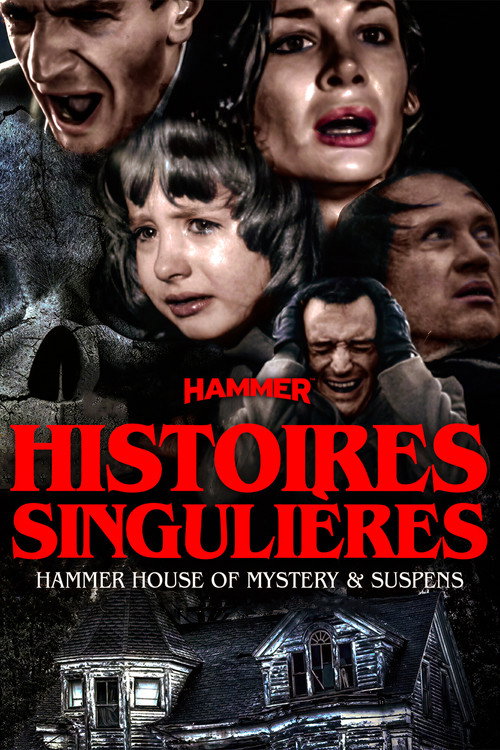 Affiche de Histoires Singulières