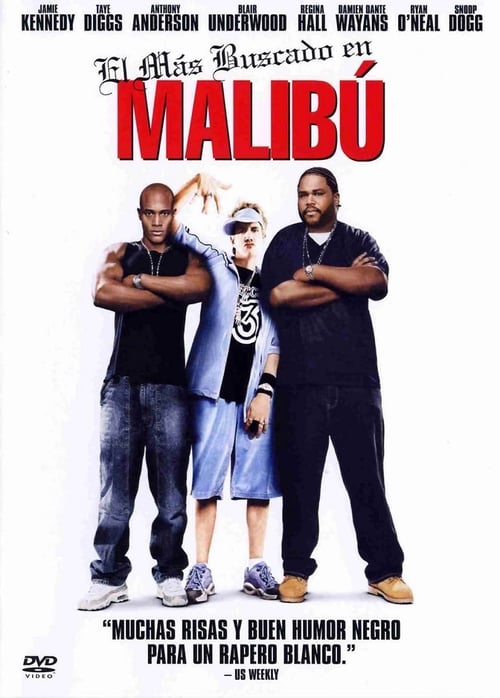 Malibu's Most Wanted poster