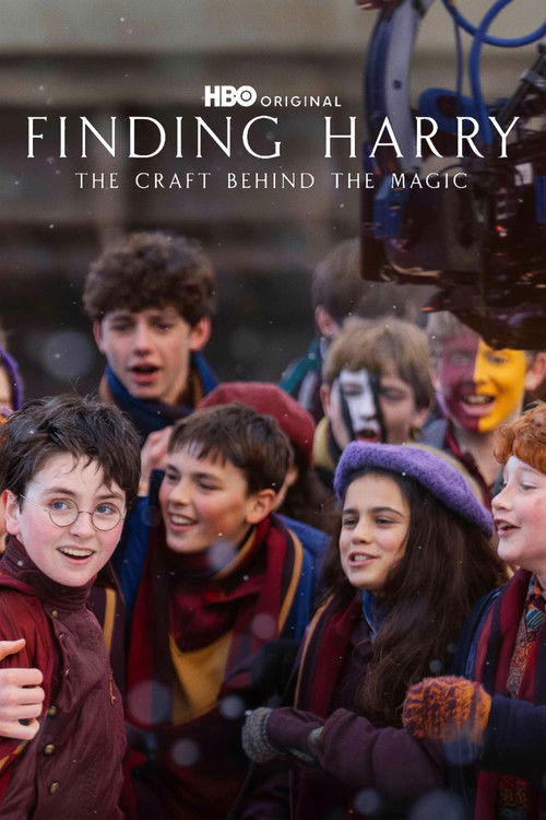 Affiche du film À la recherche de Harry : L'art derrière la magie