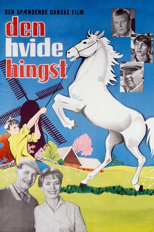 Den hvide hingst poster