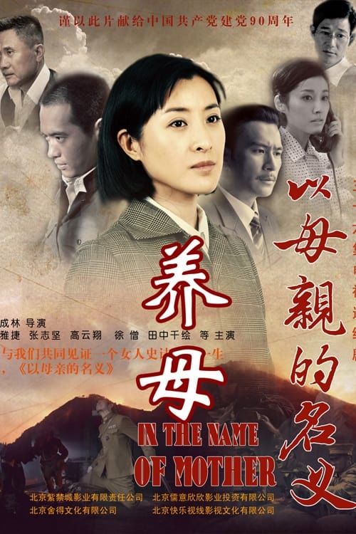 Poster da série 养母