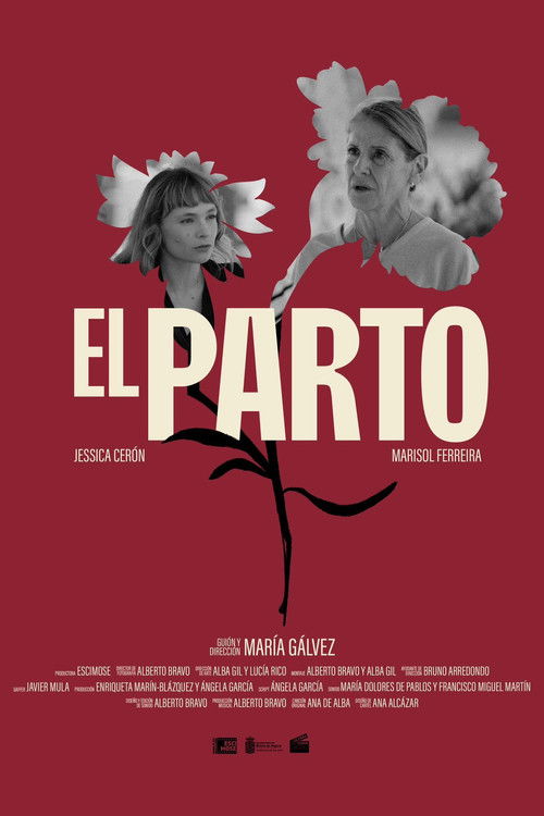 El Parto film afişi