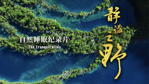 静谧之野 - Season 1 Backdrop Blur