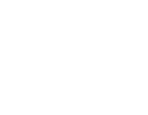 Big Time Adolescence
