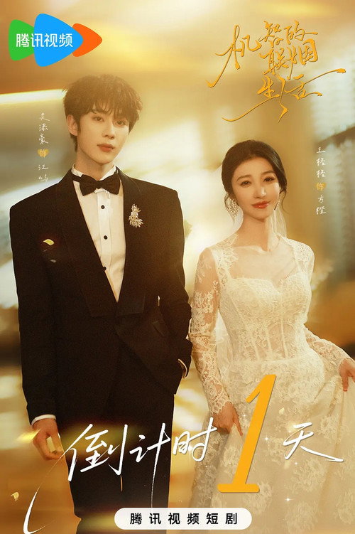 机智的联姻生活 still 3