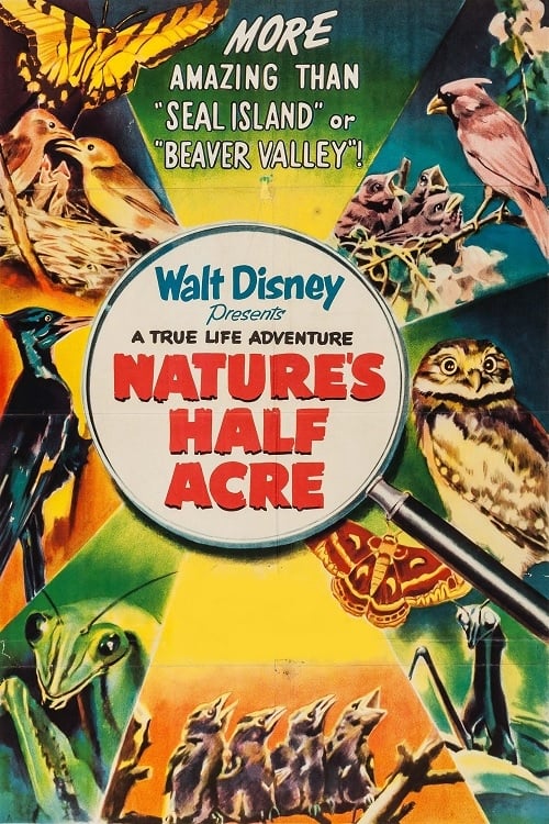 Nature's Half Acre 1951