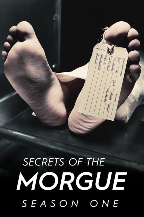 Where to stream Secrets of the Morgue Season 1