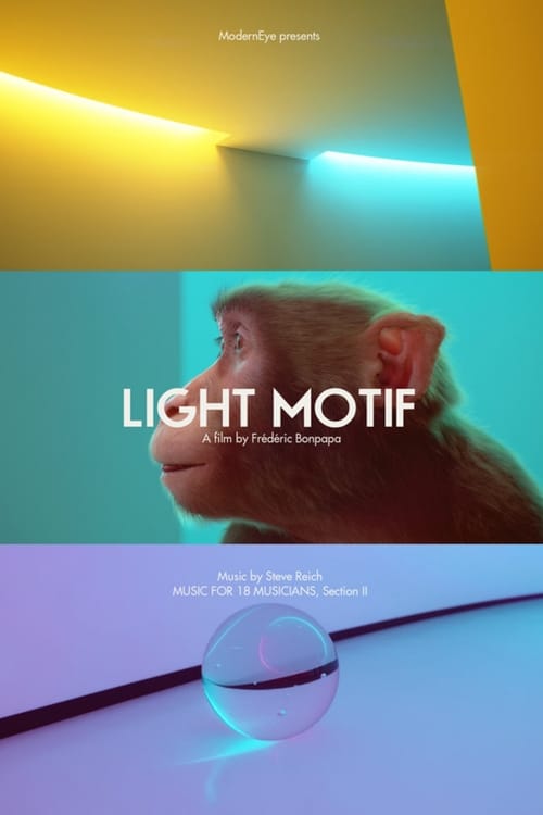 Light Motif 2014