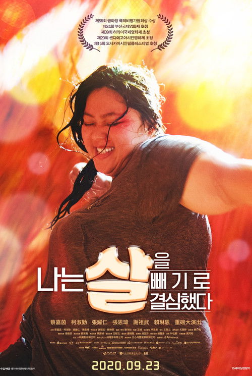 Heavy Craving poster